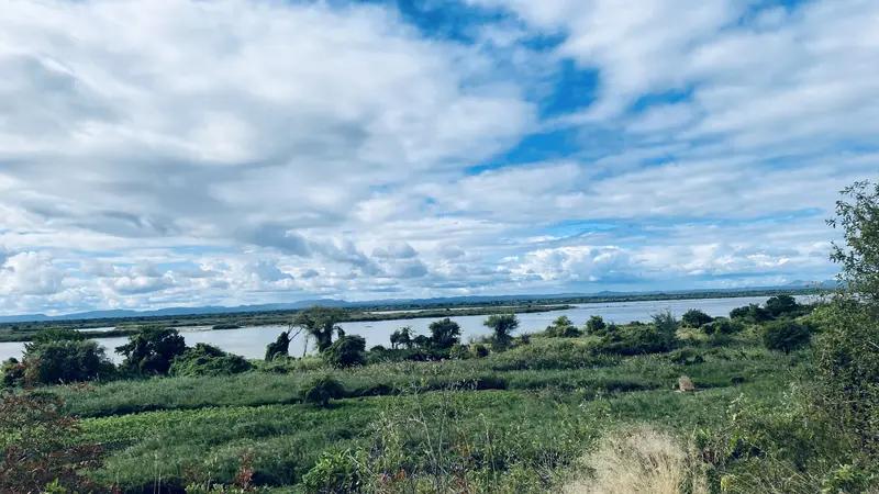 在非洲的中国人饮食_网红老板给员工吃黑暗料理视频,_非洲华人食堂菜式