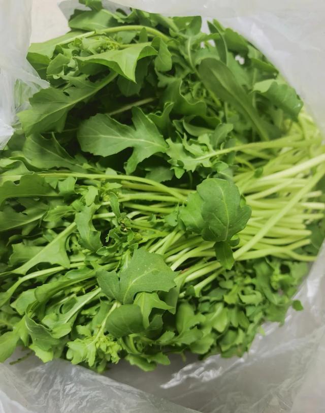 折耳根活麻臭菜产业发展_贵州网红黑暗料理,_贵州怪蔬菜
